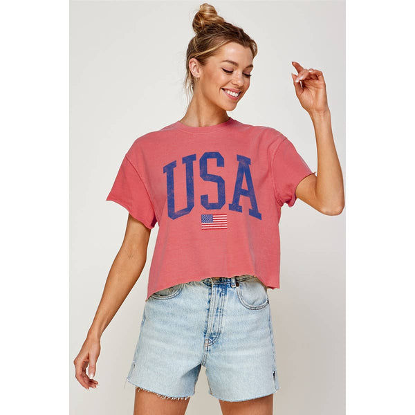 USA VINTAGE VINTAGE GRAPHIC CROP TOP: CRIMSON