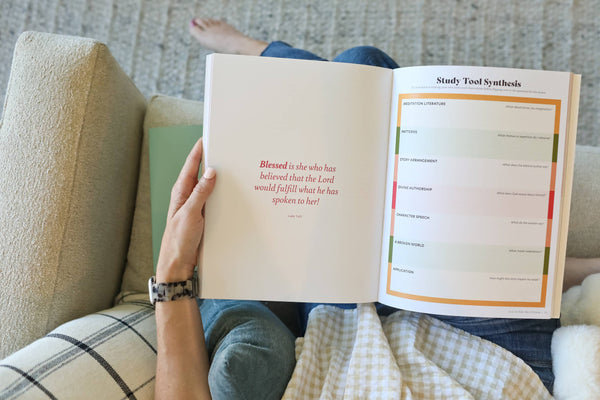 Brave and Beloved: A Bible Study Exploring the Wisdom and Di