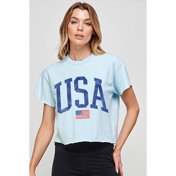 USA VINTAGE VINTAGE GRAPHIC CROP TOP: CRIMSON