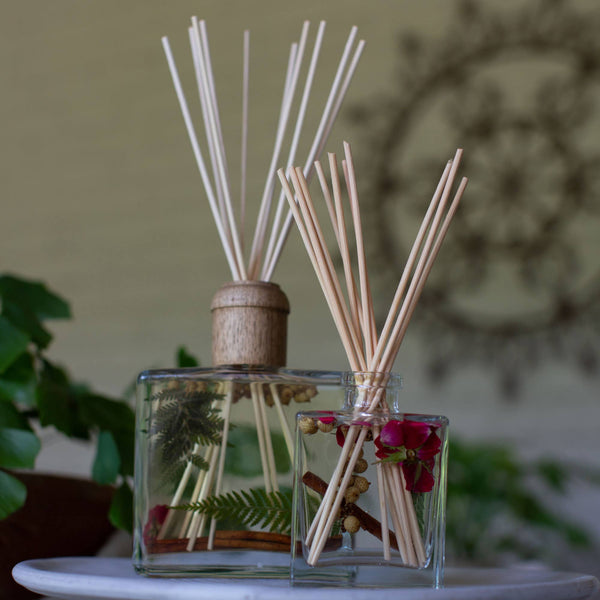 Spicy Apple 13 oz Botanical Diffuser