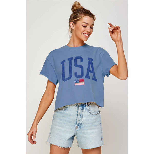 USA VINTAGE VINTAGE GRAPHIC CROP TOP: CRIMSON