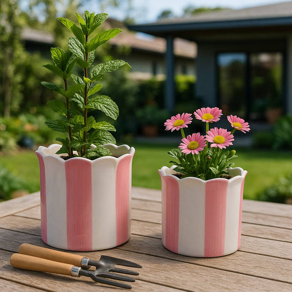 Pink Ceramic Striped Scallop