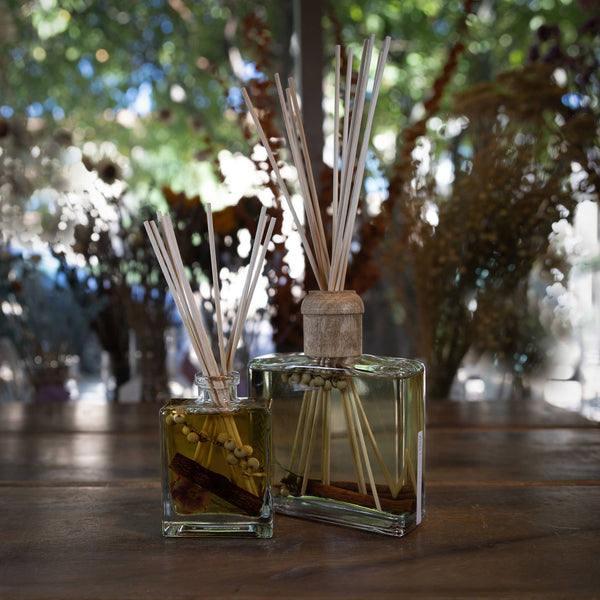 Spicy Apple 13 oz Botanical Diffuser