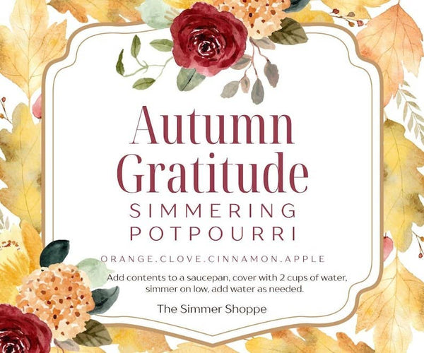 Autumn Gratitude Simmer Pot Kit | Fall Stovetop Potpourri |