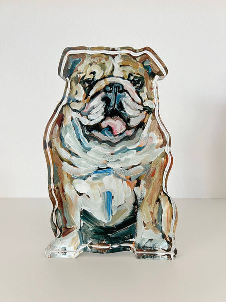 Bulldog Fawn & White Dog Acrylic Large