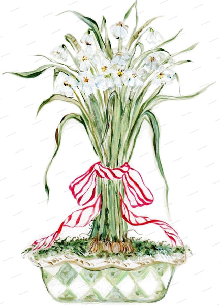Paperwhites Kitchen Towel: Cotton Cloth Towel
