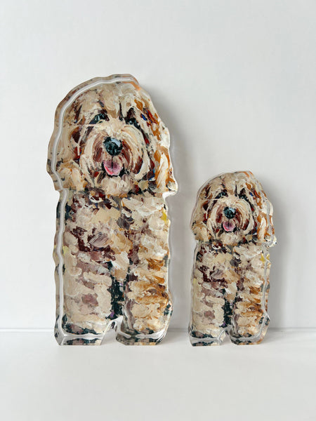 "Cockapoo Blonde" acrylic : Large Shelfie