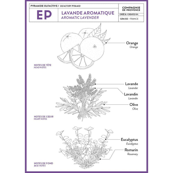 Liquid Marseille Soap Aromatic Lavender 16.7 fl oz Glass