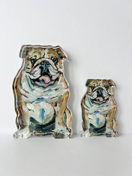 Bulldog Fawn & White Dog Acrylic Large