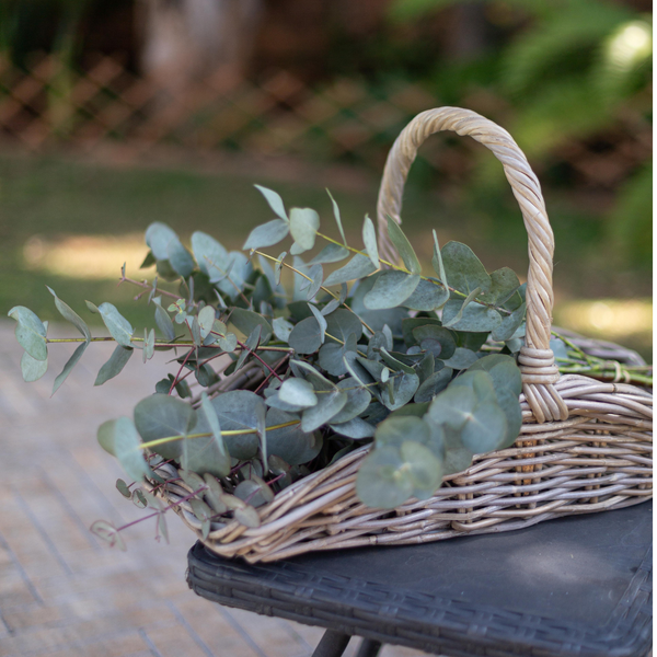 Garden Trug Basket: One Size