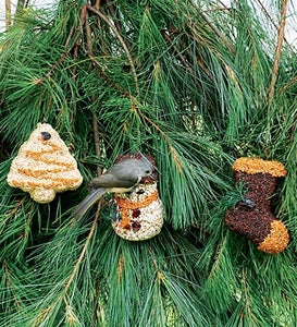 Birdseed Christmas Shapes Singles