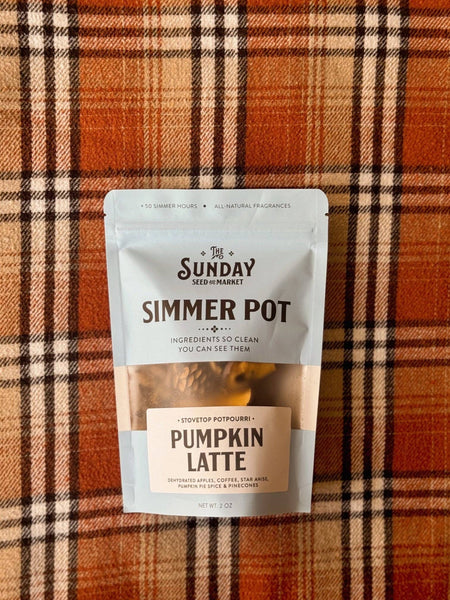 Pumpkin Spice Latte Simmer Pot | Apple Coffee Pumpkin Spice