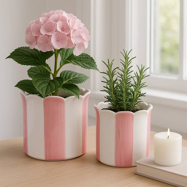 Pink Ceramic Striped Scallop