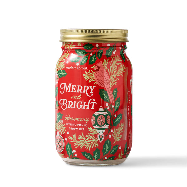 Holiday Herb Garden Jar: Comfort & Joy