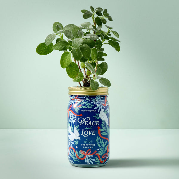 Holiday Herb Garden Jar: Merry & Bright