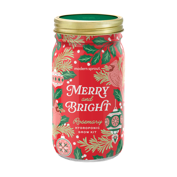 Holiday Herb Garden Jar: Comfort & Joy