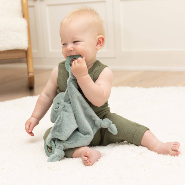 Teether Buddy Freddie the Frog: Green
