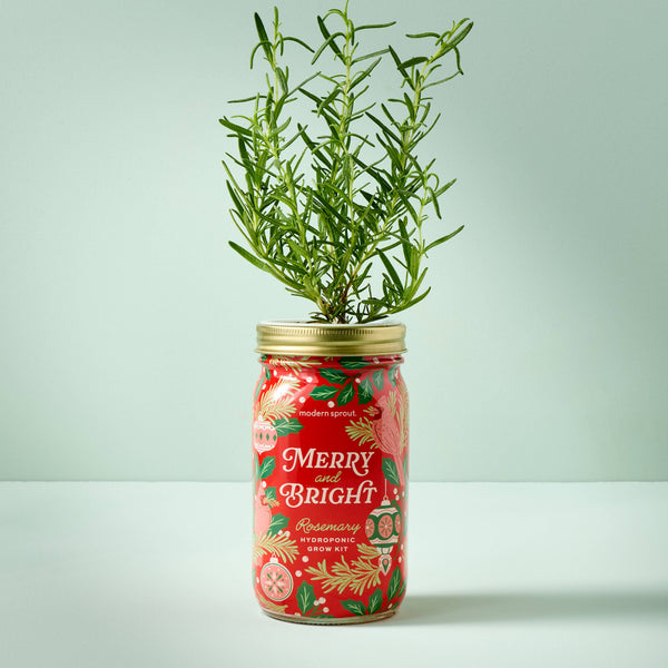 Holiday Herb Garden Jar: Merry & Bright