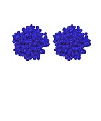 Seed Beads Pom Pom Earrings