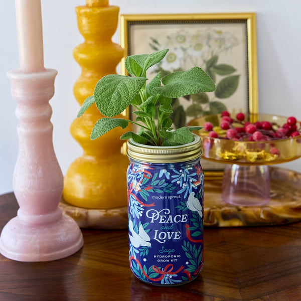 Holiday Herb Garden Jar: Merry & Bright