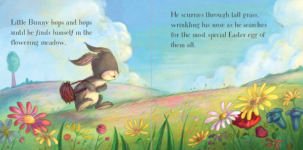 Easter Egg Hunt for Jesus by Susan Jones: Hardcover