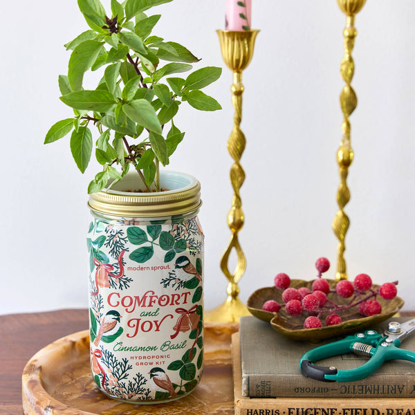 Holiday Herb Garden Jar: Merry & Bright