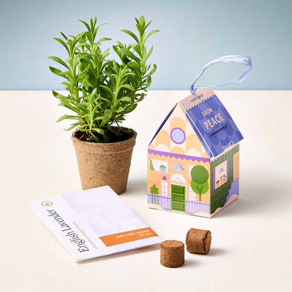 Lavender grow ornament