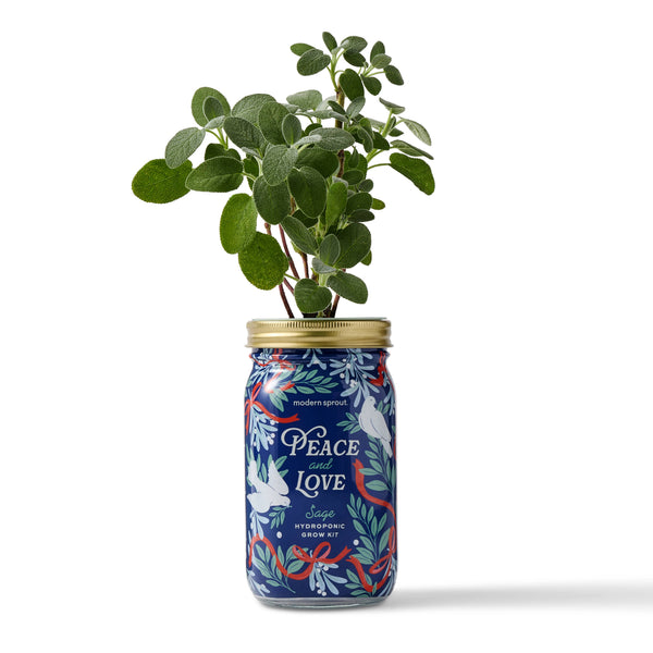 Holiday Herb Garden Jar: Merry & Bright