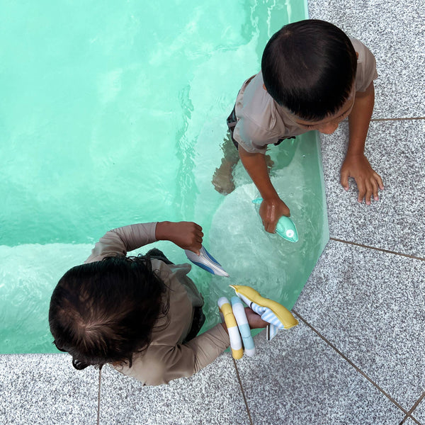 Dive Buddies Sid the Seagull Multi Set of 6