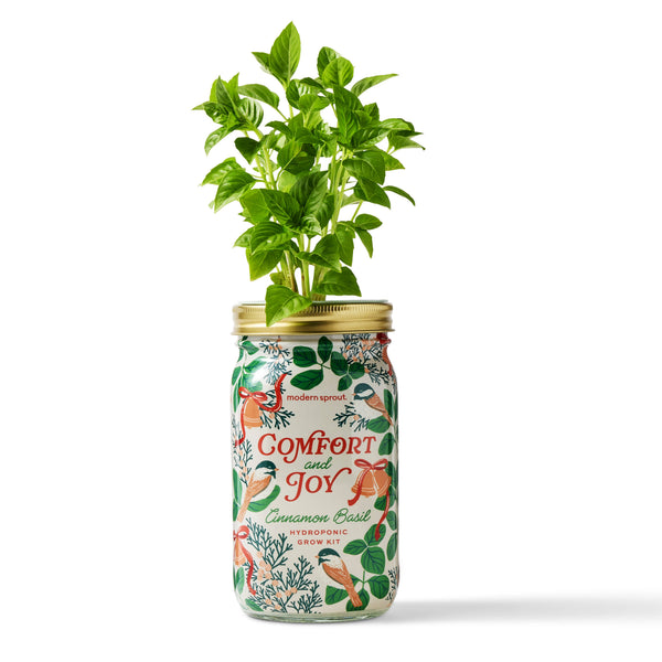Holiday Herb Garden Jar: Merry & Bright