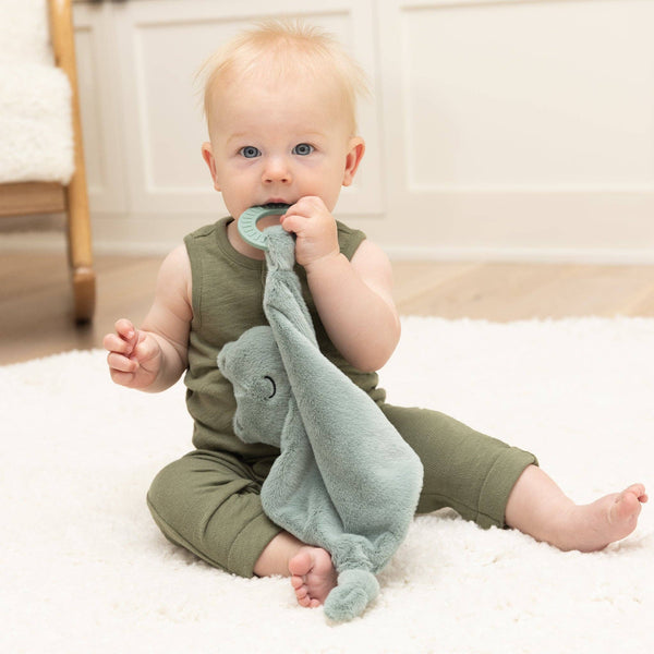Teether Buddy Freddie the Frog: Green