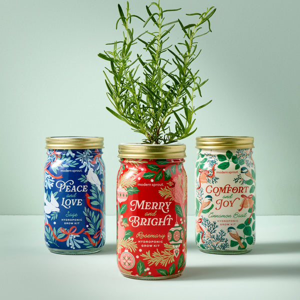Holiday Herb Garden Jar: Merry & Bright