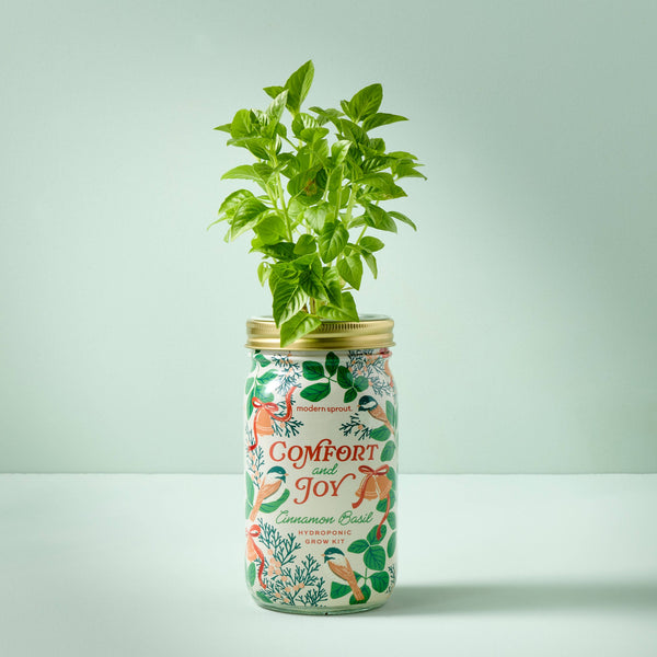 Holiday Herb Garden Jar: Merry & Bright
