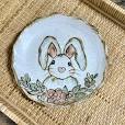Spring Bunny Plate