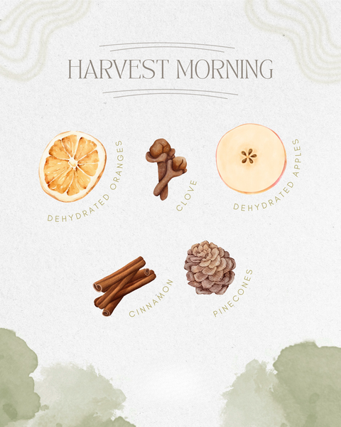 Harvest Morning Simmer Pot | Orange Cinnamon Clove