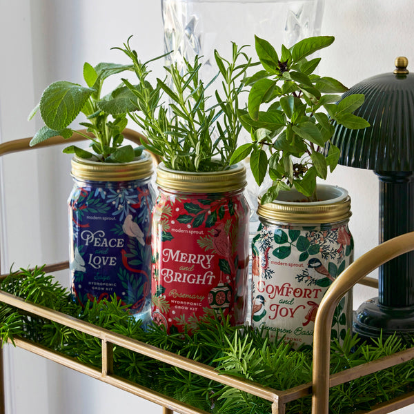 Holiday Herb Garden Jar: Merry & Bright