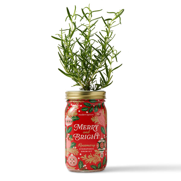 Holiday Herb Garden Jar: Comfort & Joy