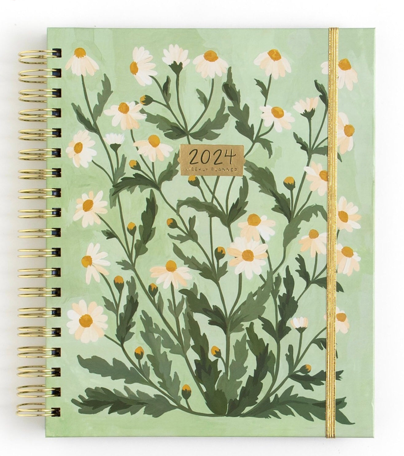 Light Green Montauk Daisy 2024 Planner