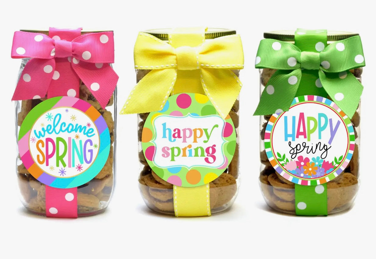 Spring Pint Size Jar Chocolate Chip Cookies
