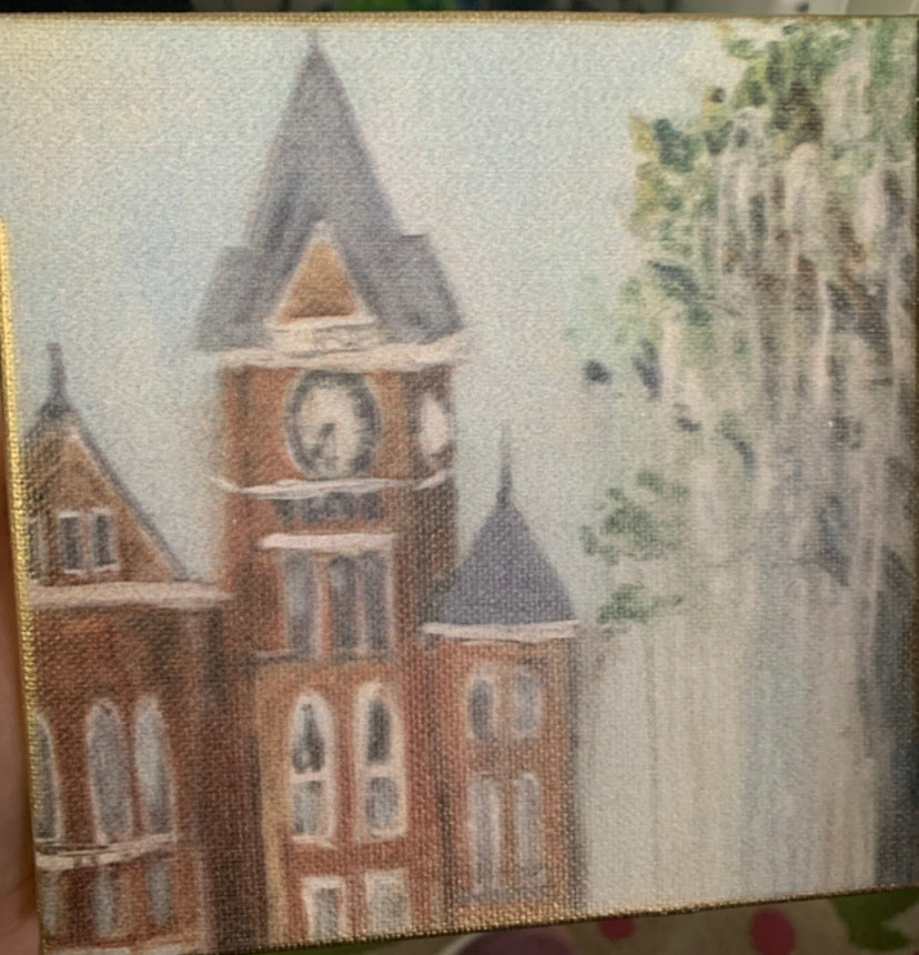 Auburn canvas 6x6