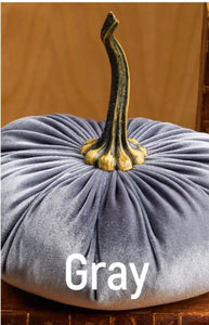 Grey XL Velvet Pumpkin