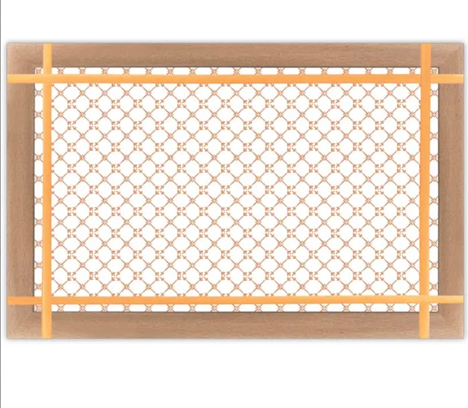 Orange Garden Trellis Paper Placemats