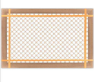 Orange Garden Trellis Paper Placemats