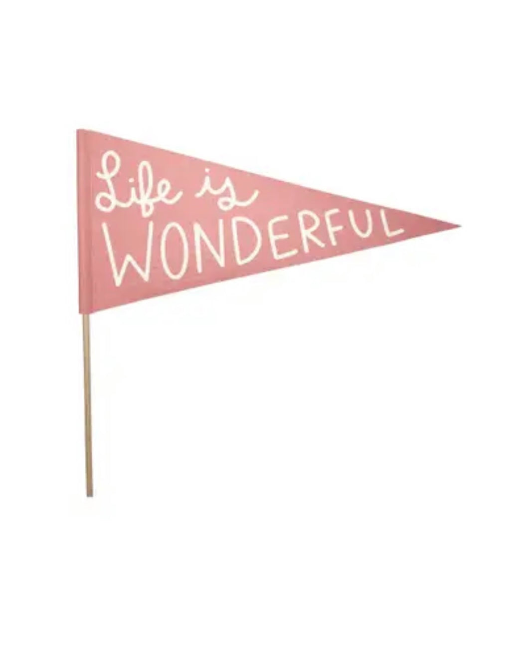 Life is Wonderful Pennant