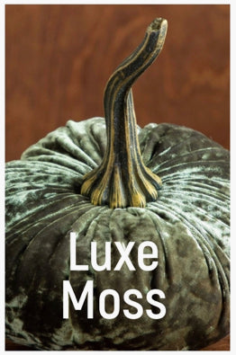 Luxe Moss Velvet Pumpkin