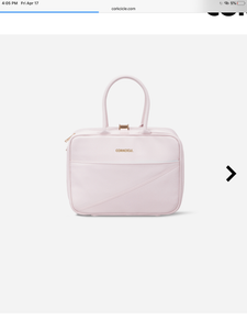 Corkcicle pink lunch tote