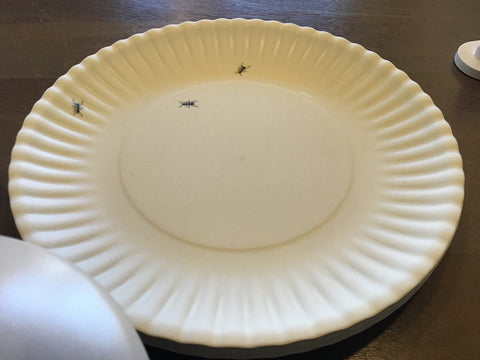 Large Ant Plates (Set of 4) melamine