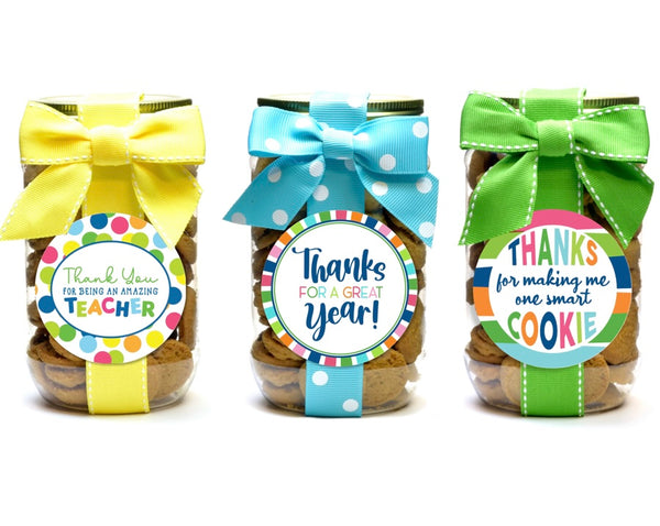 Teacher Gift Pint Size Chocolate Chip Cookies