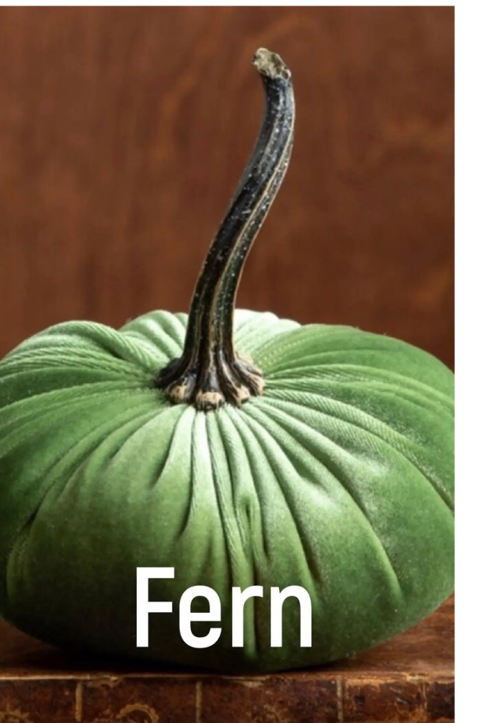 Small Velvet Pumpkin - Fern