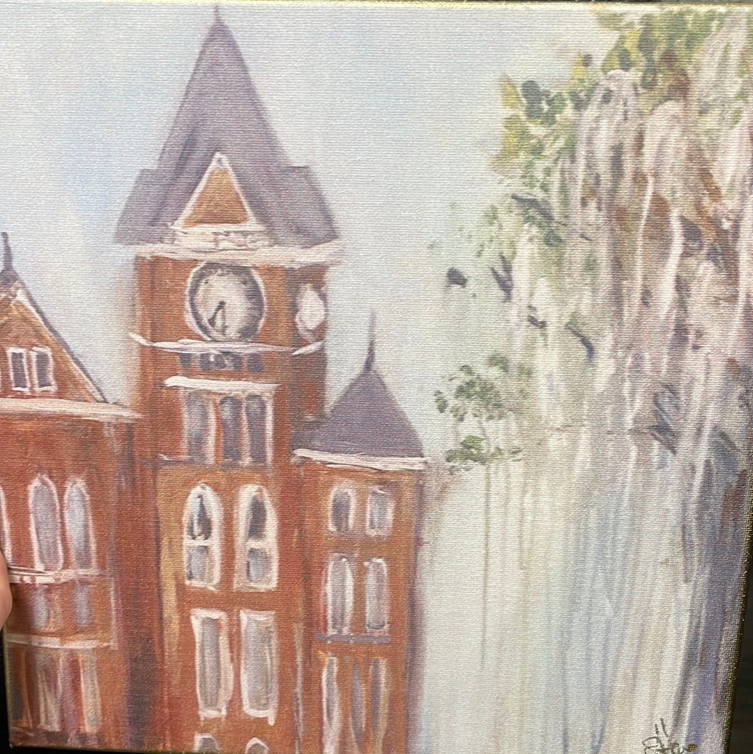 Auburn canvas 12x12